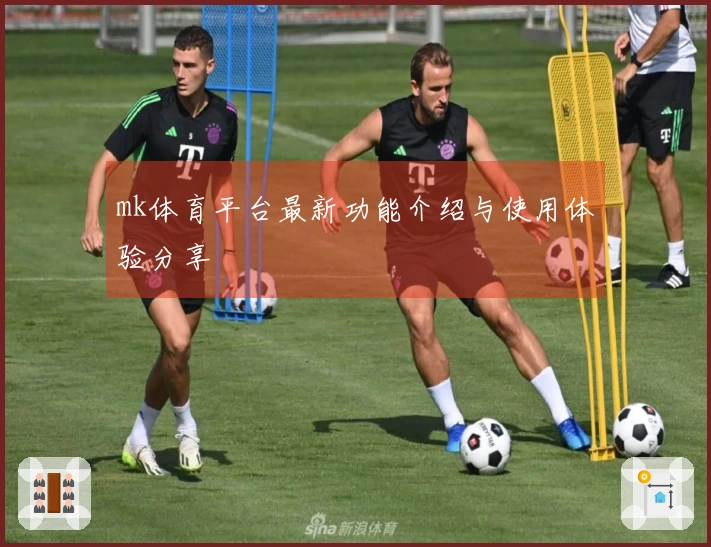 mk体育平台最新功能介绍与使用体验分享