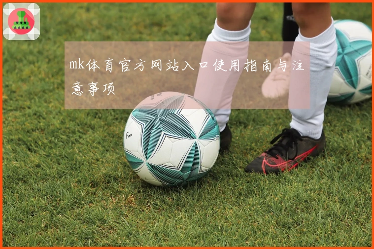 mk体育官方网站入口使用指南与注意事项