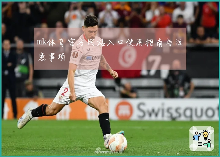 mk体育官方网站入口使用指南与注意事项