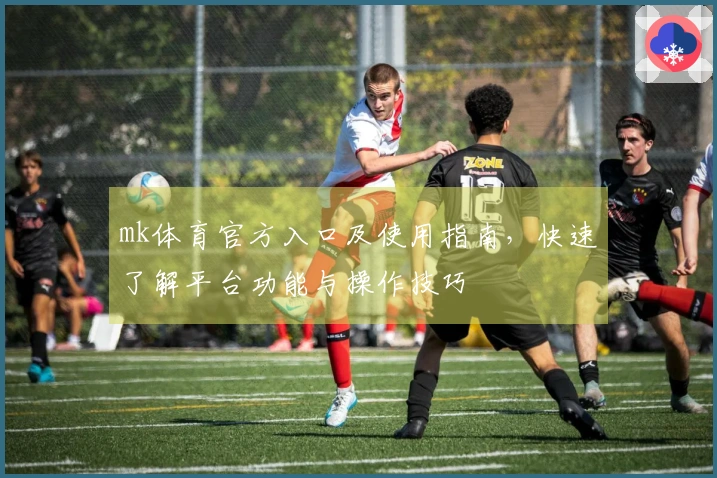 mk体育官方入口及使用指南,快速了解平台功能与操作技巧
